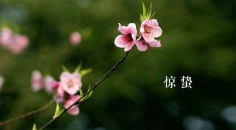 惊蛰的惊蛰什么意思