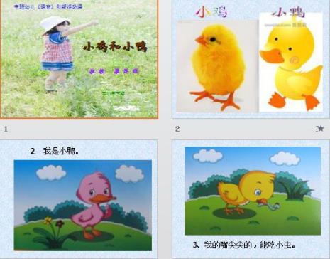 儿歌小鸡小鸡中有几种动物