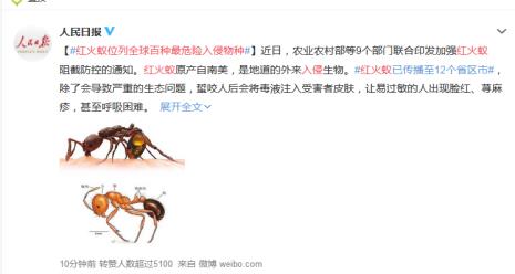 什么样的物种容易成为入侵物种