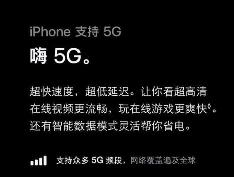全新黑解是什么