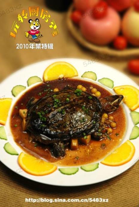 甲鱼烧生蚝做法大全