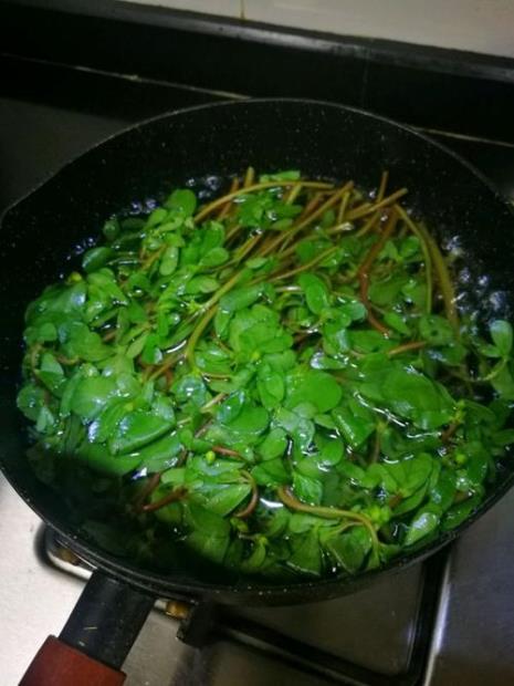 水苋菜的做法