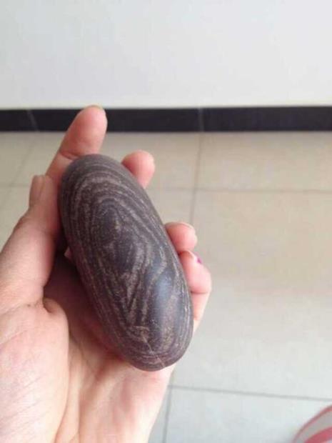 菩提果是石头吗