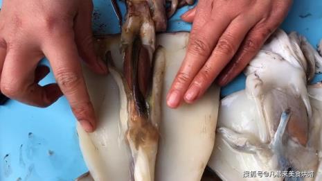 八角鱼是不是鱿鱼