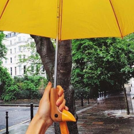 下雨天没有带雨伞怎么办