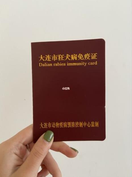 办狗证是可以免费打狂犬疫苗吗