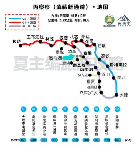 阿里线指哪条路线