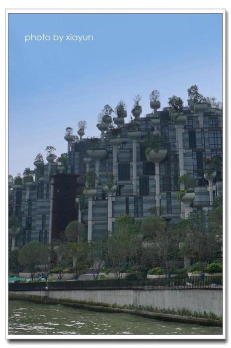 苏州河千树之城介绍
