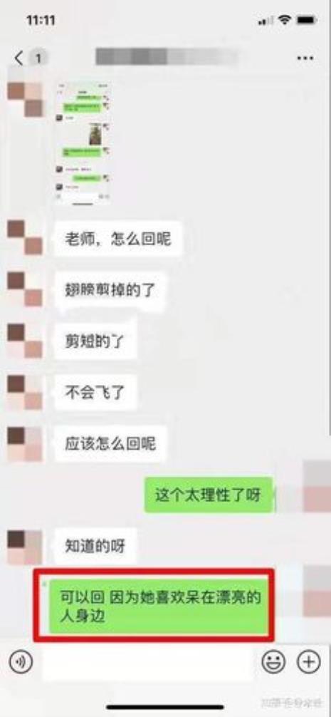 别人给你分享有趣东西怎么回复