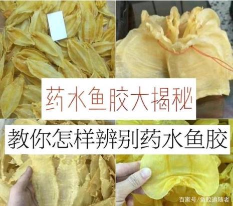 马来巴罗鱼胶是什么