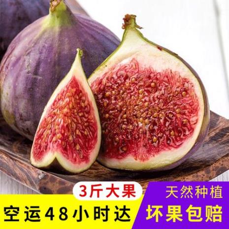 几月可以买到无花果鲜果