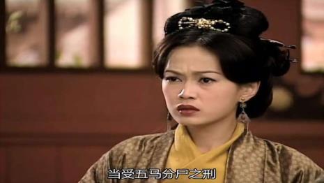 寻秦记朱姬夫人扮演者