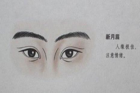 什么眉毛填合适的动词