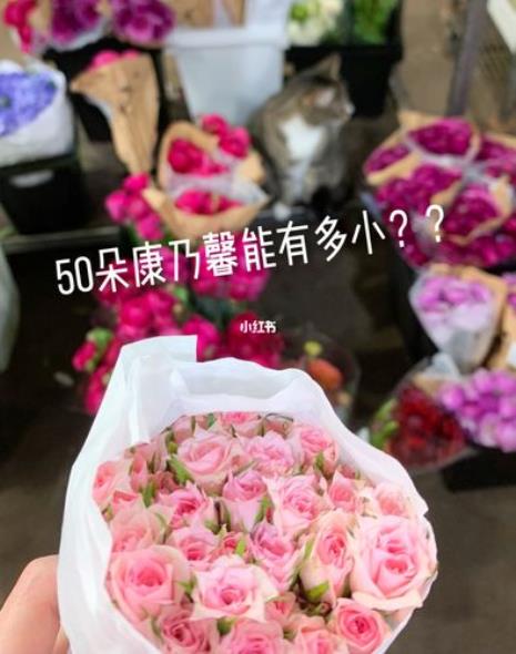 50朵玫瑰的含义是什么
