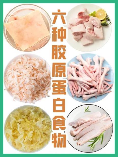 胶原蛋白食物有哪些