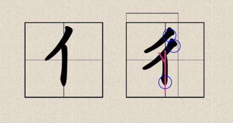 单人旁一个兔是什么字