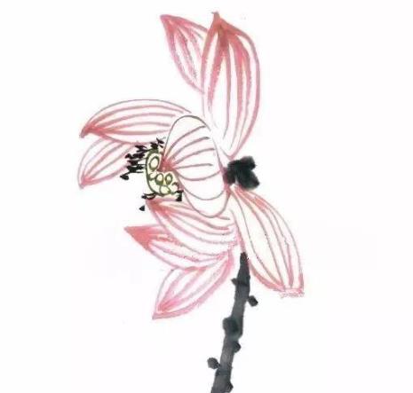 国画荷花怎么画荷花水墨画教程