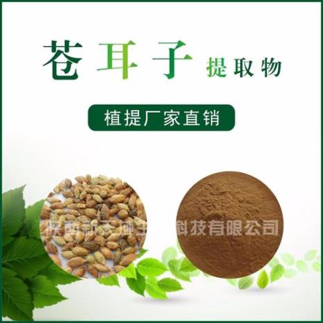 苍耳子山东枣庄叫什么