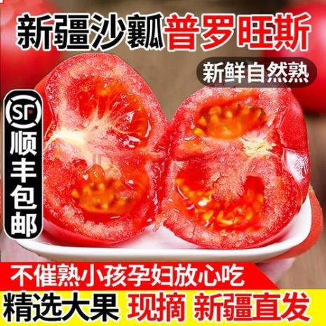 沙瓤西红柿是什么品种