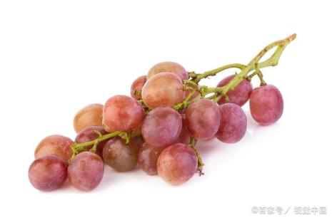 卖的常温葡萄怎么保存
