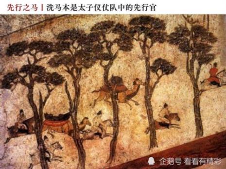 马 坡之便读音