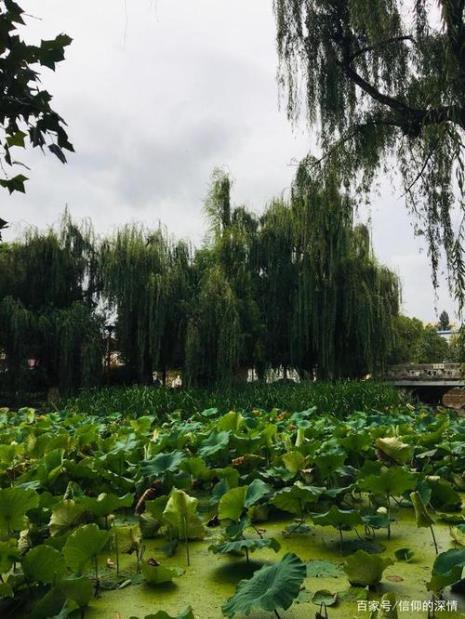 昆明翠湖公园的公园历史