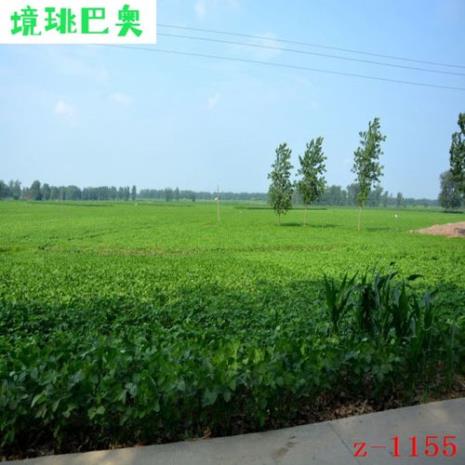 快手拍视频为什么背景跟着动