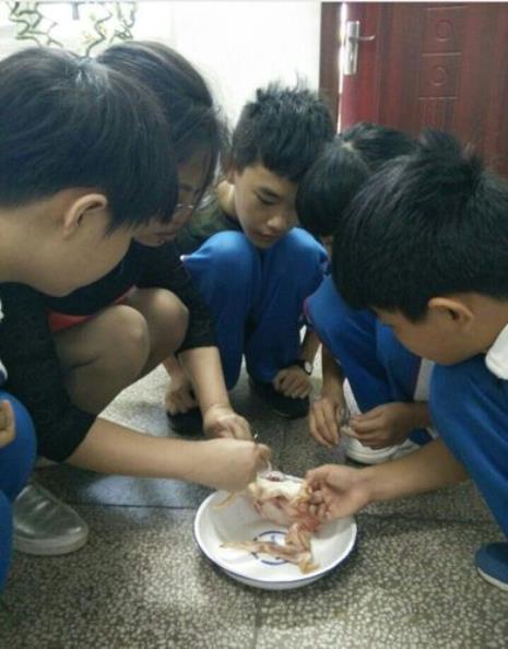 高中生物有解剖课吗