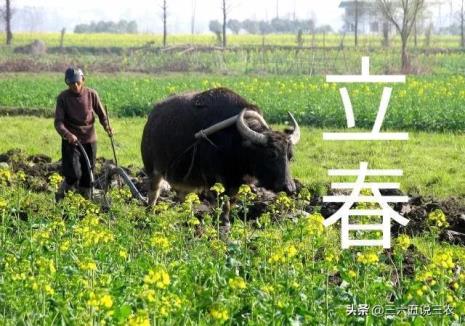 2022年立春是凌晨还是下午