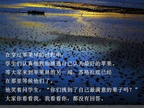 关于车站的人生感悟