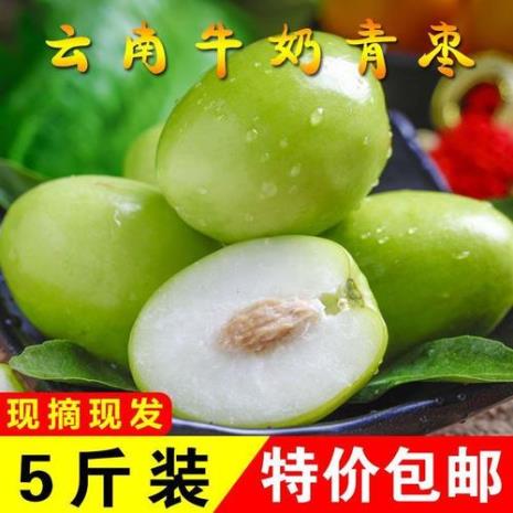 牛奶大青枣几月份采摘