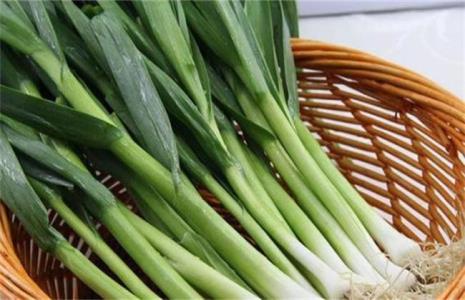 10月份插什么菜最快