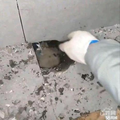 卫生间渗水能精准检测吗
