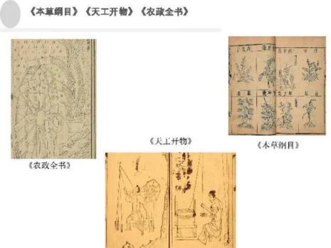 农政全书出现时期王阳明在吗