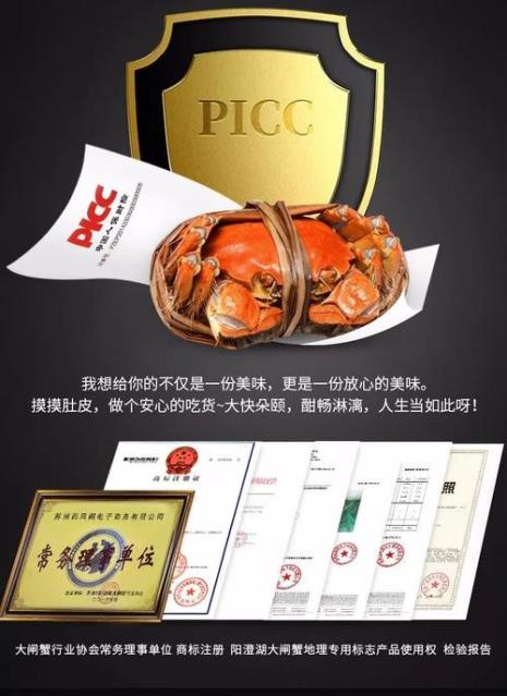 蟹太太是什么公司