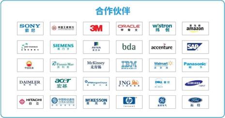 公司中其他合作伙伴是什么意思