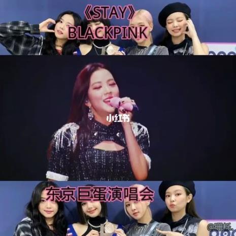 blackpink线下演唱会门票怎么买