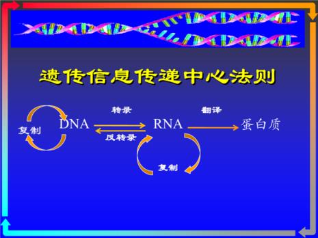 生物遗传加法法则