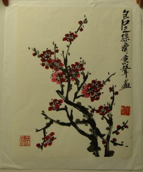 写意梅花用什么宣纸