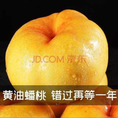 油桃和黄桃哪个含糖量高