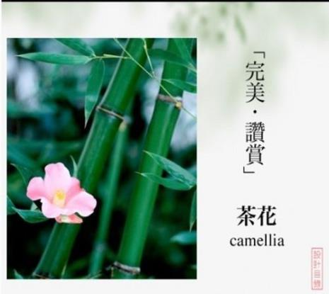 花语大全
