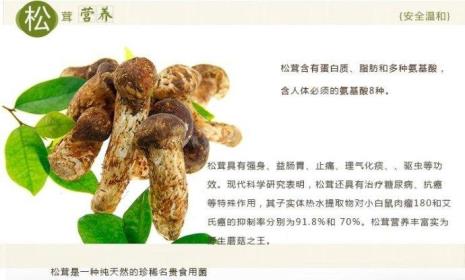 干松茸上像有层白霜还能吃吗