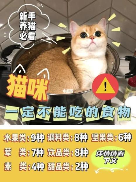 猫咪可以吃炖土豆吗