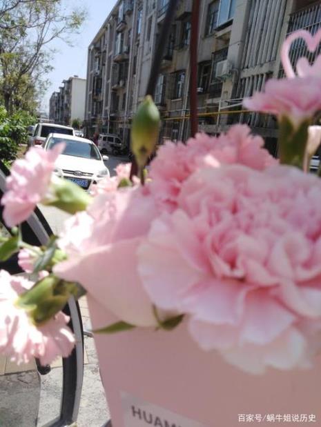 接花是什么意思