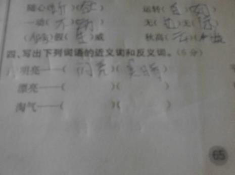 践的反义词