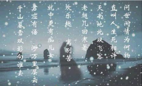 形容黑衣服漂亮的诗句