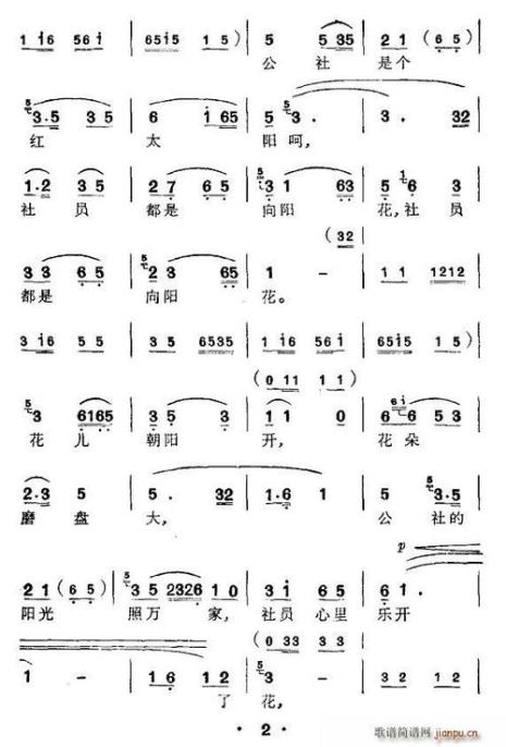 社员都是向阳花是哪个电影插曲