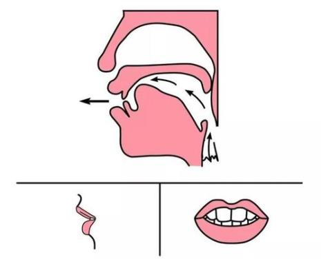 n的发音部位和发音方法