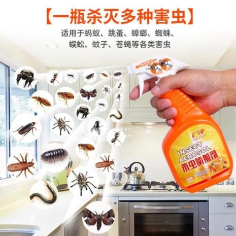 家中为何有蜈蚣蚂蚁和蟑螂
