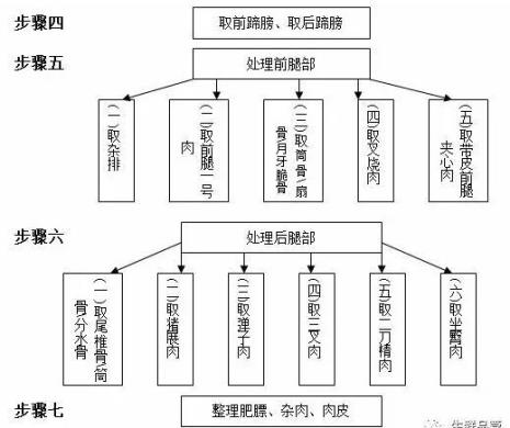 生猪分割实操教学